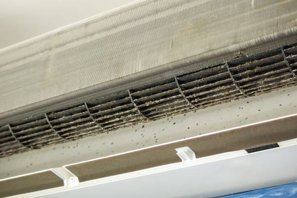  Rayre, MO Airduct Cleaning Pros