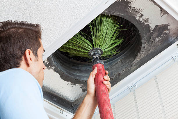 Air Duct Mold Removal in MO